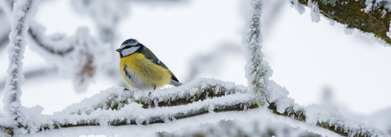 Jesus Christus spricht: Seid barmherzhig, wie auch euer Vater barmherzig ist! Lulkas 6,36