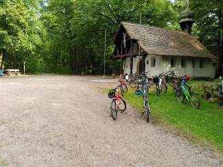 Kinder im Wald